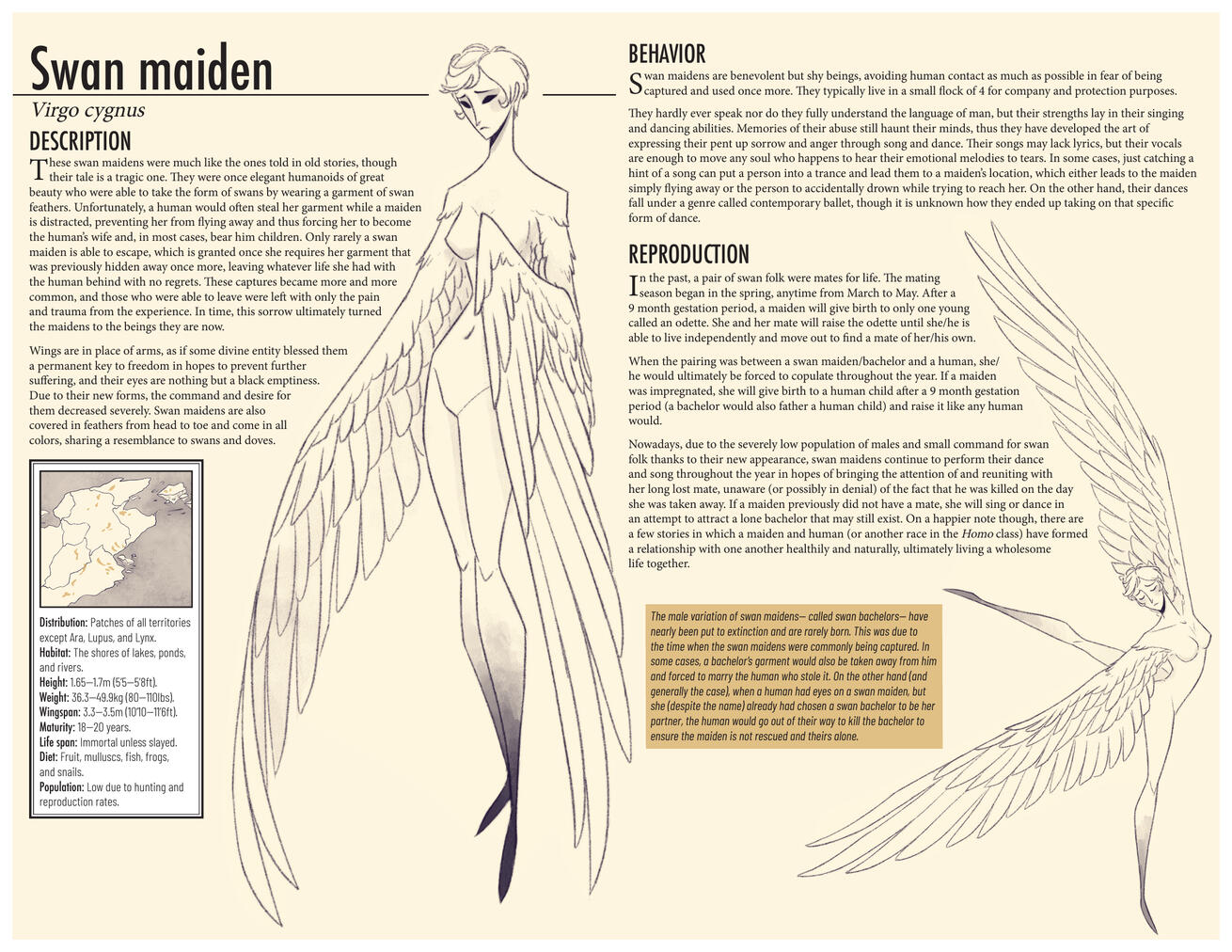 Pages 5-6