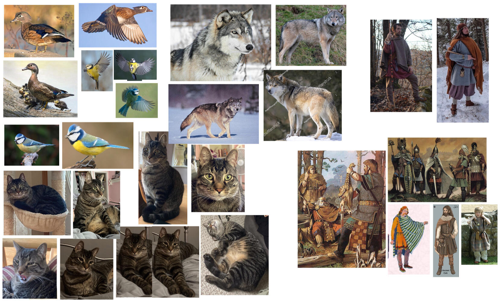 Peter &amp; the Wolf - References