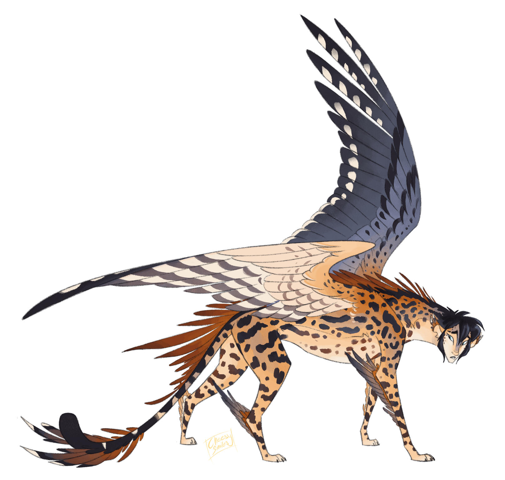 American Kestrel + King Cheetah Sphinx