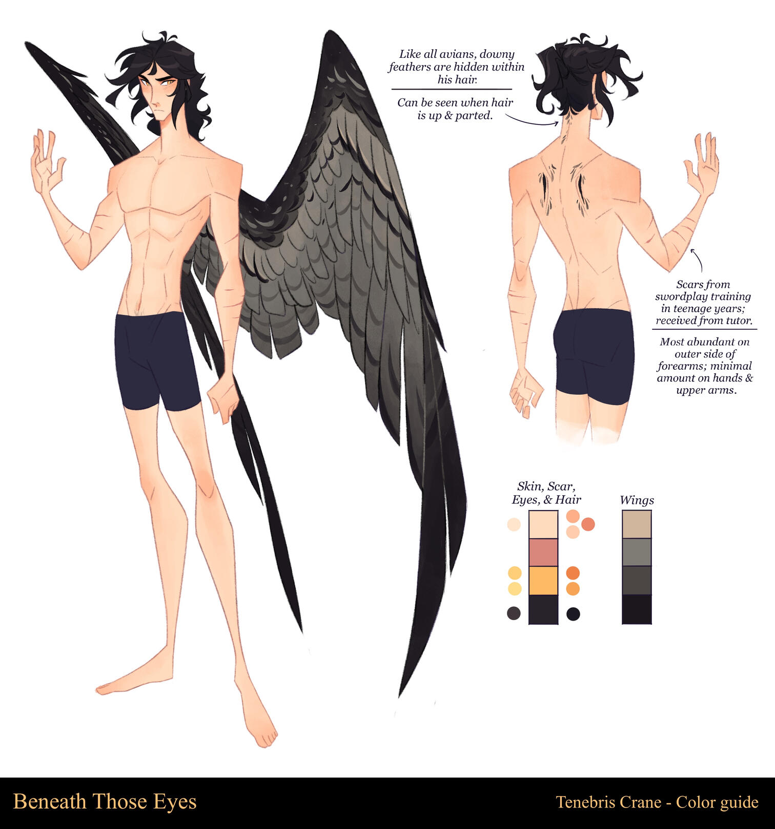 Color guide - Tenebris Crane (anatomy)