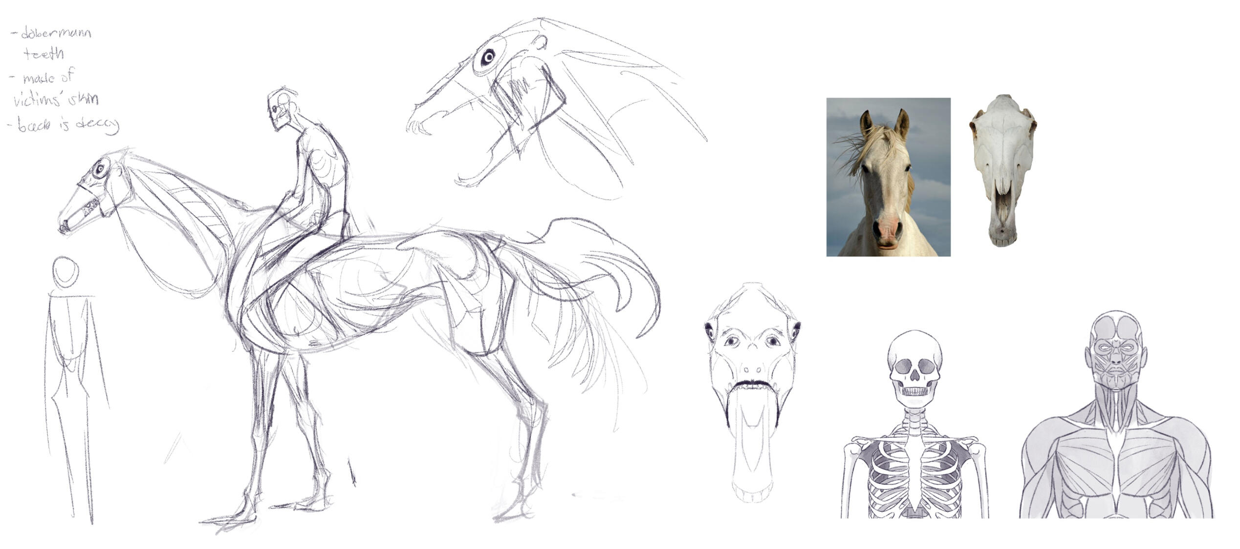 Sketches & references