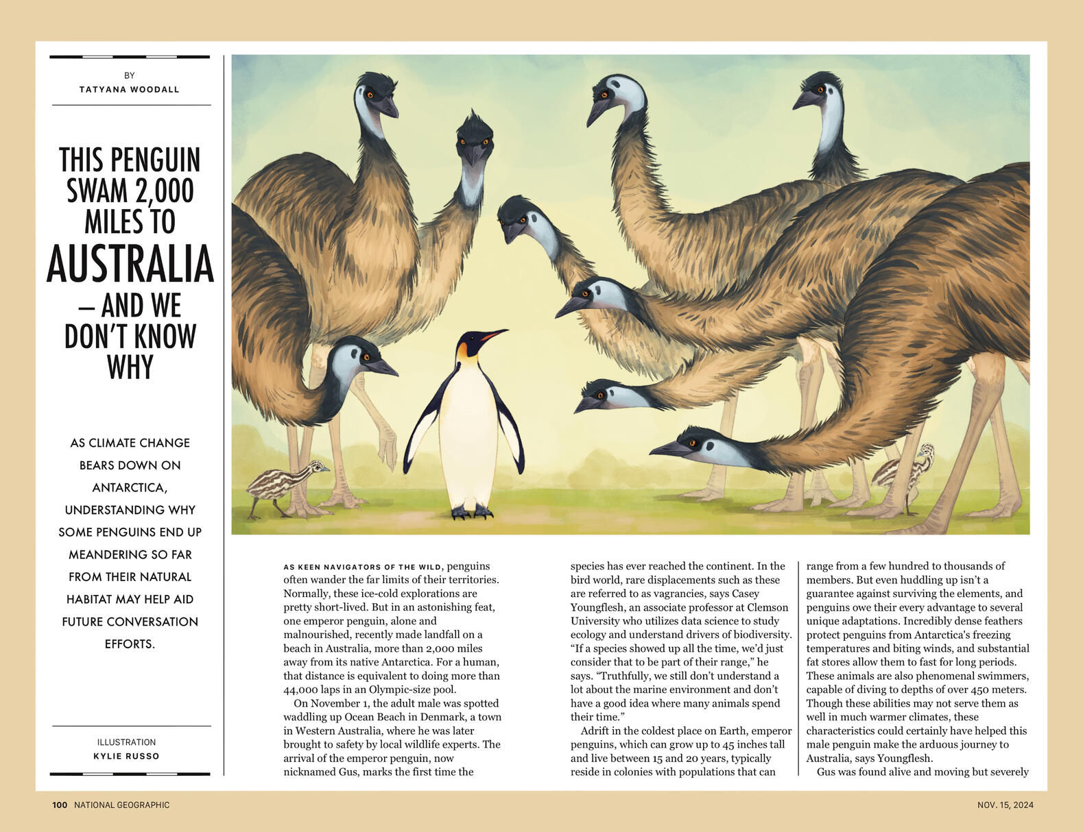 National Geographic Magazine - Editorial illustration